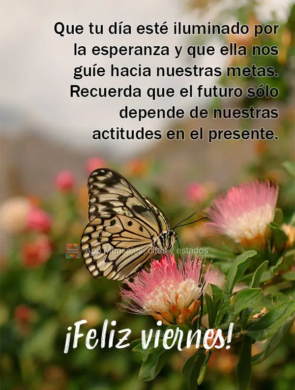 Que tu día esté iluminado por la esperanza y que ella nos guíe hacia nuestras metas. Recuerda que el futuro sólo depende de nuestras actitudes en el ...