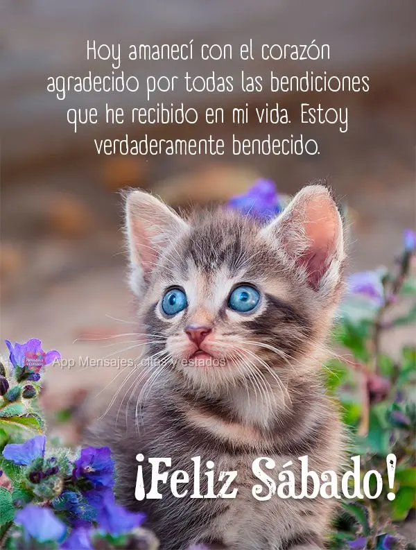 Hoje eu acordei com um coração grato por todas as bênçãos que recebi em minha vida. Sou verdadeiramente abençoado. Feliz Sábado!