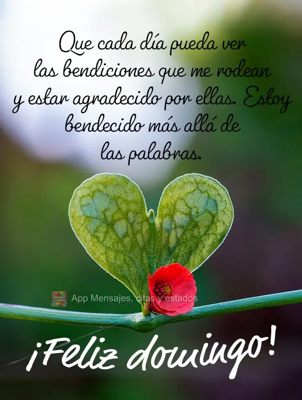 Que a cada dia eu possa enxergar as bênçãos ao meu redor e agradecer por elas. Sou abençoado além das palavras. Feliz Domingo!