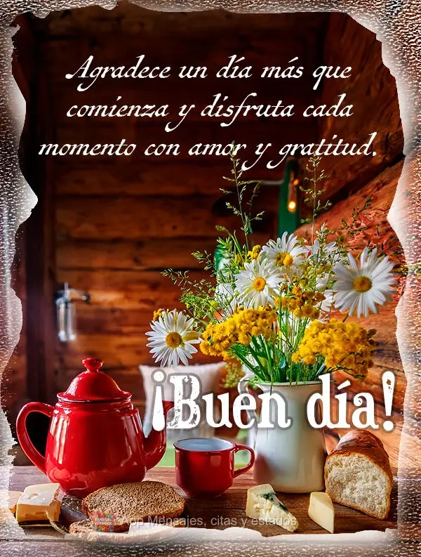 Seja grato por mais um dia que se inicia e aproveite cada momento com amor e gratidão. Bom dia!