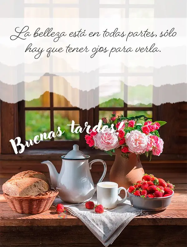 A beleza está em todos os lugares, basta ter olhos para enxergá-la. 