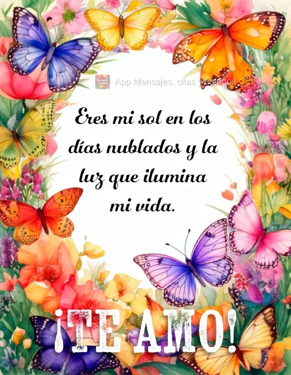 Eres mi sol en los días nublados y la luz que ilumina mi vida. ¡Te amo!
