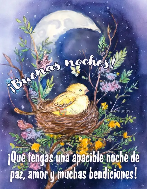 Que tenha uma noite tranquila de paz, amor e muitas bênçãos! Boa noite!