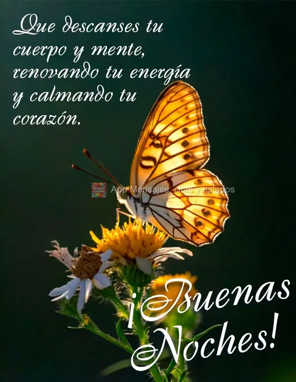 Que descanses tu cuerpo y mente, renovando tu energía y calmando tu corazón. ¡Buenas noches!