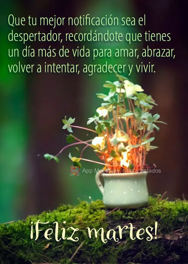 Que tu mejor notificación sea el despertador, recordándote que tienes un día más de vida para amar, abrazar, volver a intentar, agradecer y vivir. ¡...