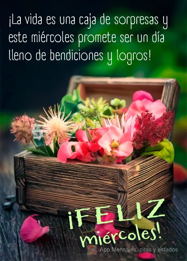 ¡La vida es una caja de sorpresas y este miércoles promete ser un día lleno de bendiciones y logros! ¡Feliz miércoles!