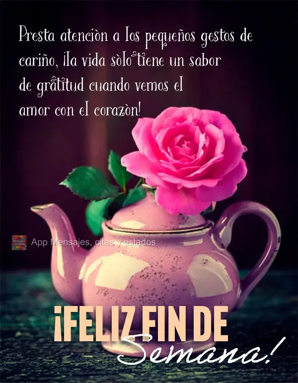 Atente-se aos pequenos gestos de carinho, a vida só tem gostinho de gratidão quando a gente enxerga o amor com o coração! Bom Final de Semana!