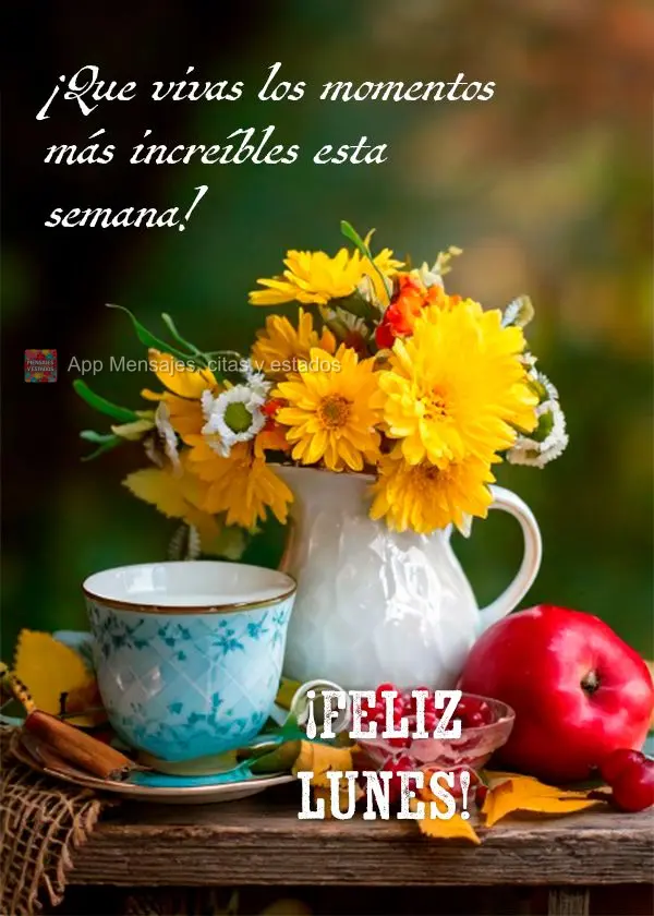 ¡Que vivas los momentos más increíbles esta semana! ¡Feliz lunes!