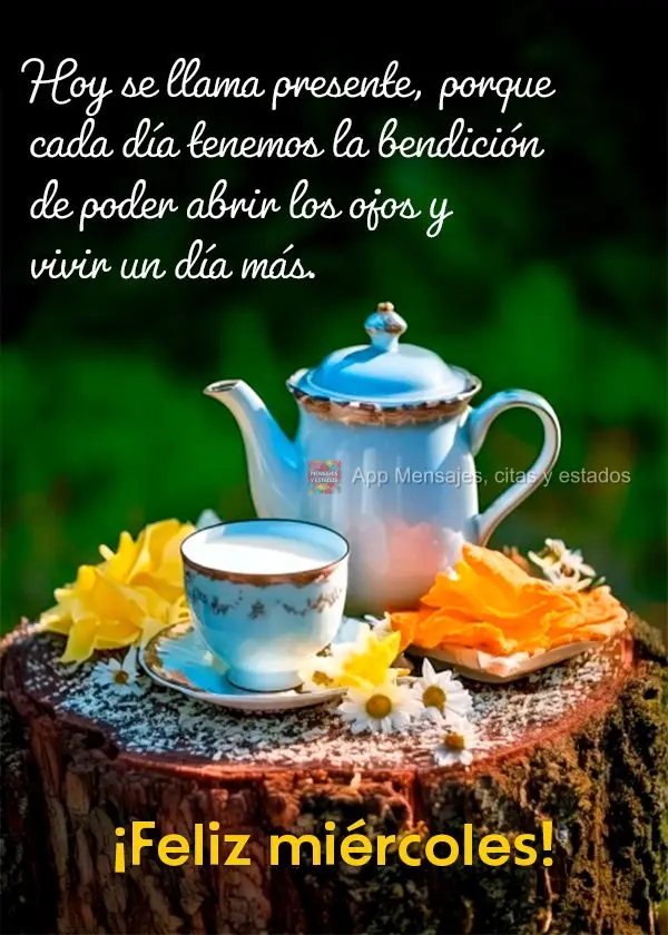 O hoje se chama presente, porque todos os dias somos agraciados por poder abrir o olhos e viver mais um dia.  Boa Quarta-feira!