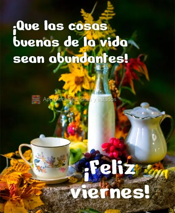 Que seja abundante as coisas boas da vida! Feliz Sexta-feira!