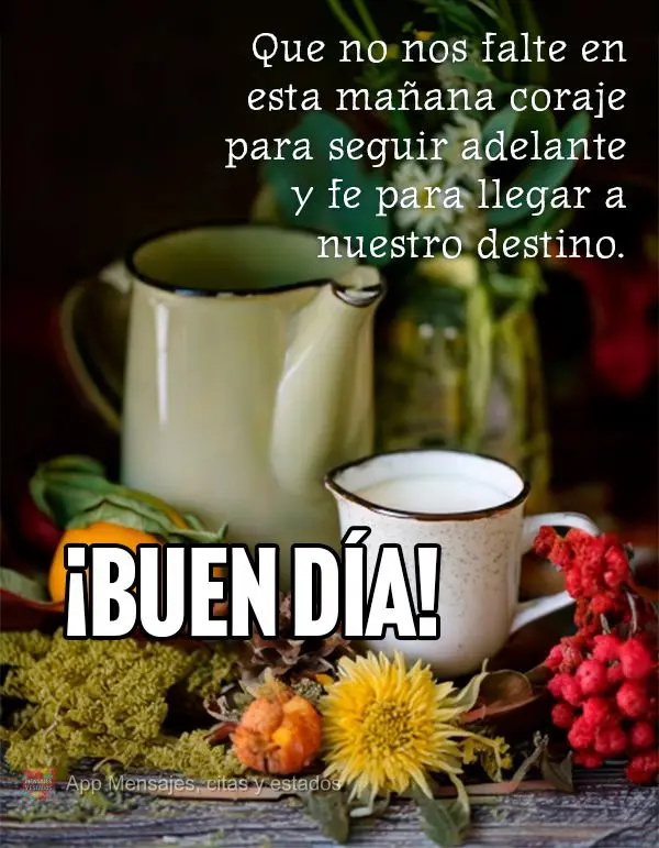 Que nesta manhã não nos falte coragem para seguir em frente e fé para chegar ao nosso destino.  Bom dia! 