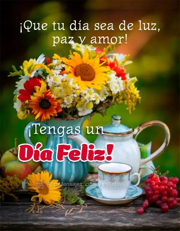 ¡Que tu día sea de luz, paz y amor! ¡Tenha um Dia Feliz!