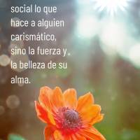 Não é a aparência física ou o status social que tornam alguém carismático, mas sim a força e a beleza de sua alma.  Feliz Segunda-feira!