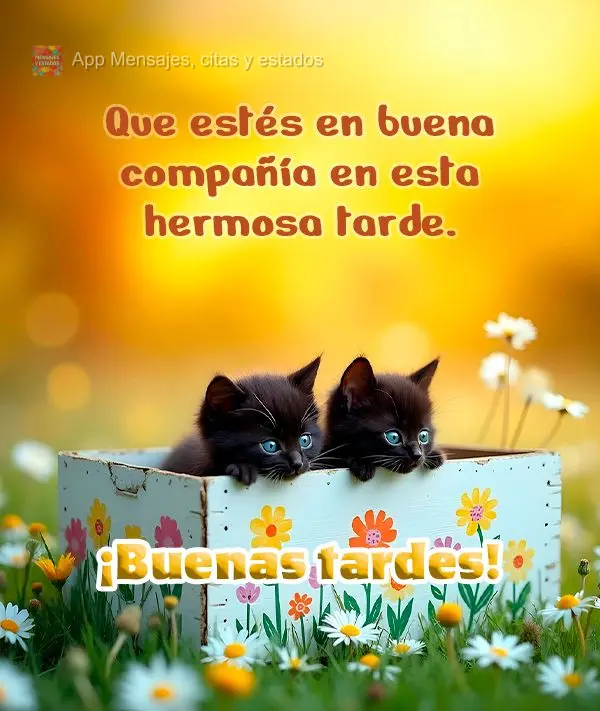 Que estés en buena compañía en esta hermosa tarde. ¡Buenas tardes!