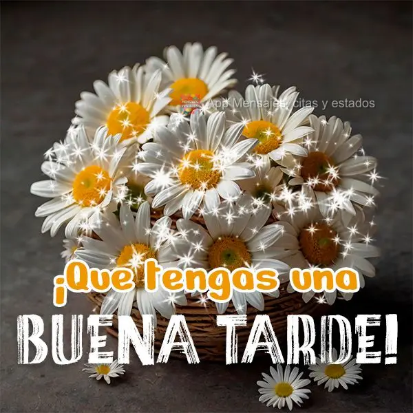 Tenha uma Boa tarde!