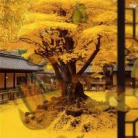 Que o seu dia seja repleto de sorrisos, abraços e momentos inesquecíveis. Boa tarde e aproveite cada segundo!