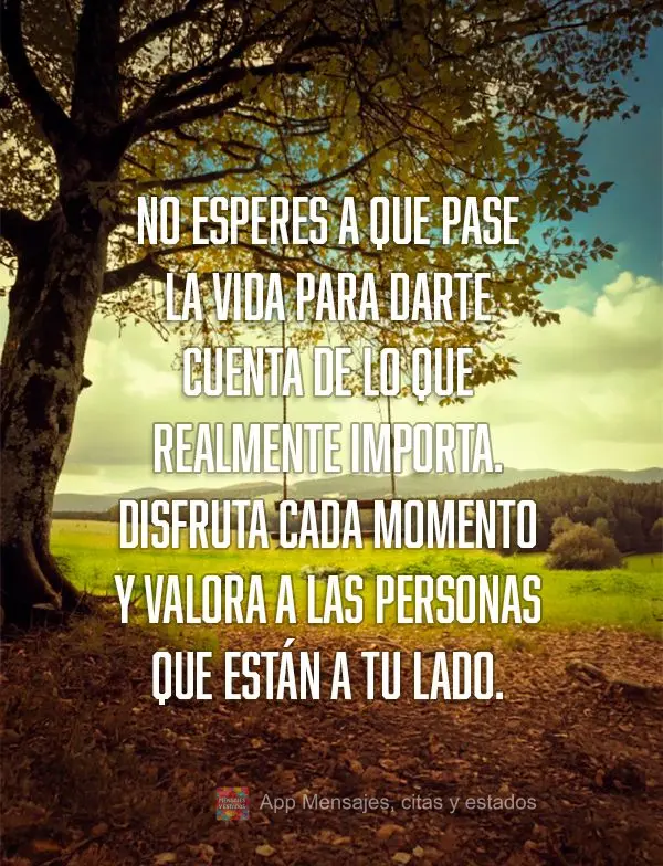 No esperes a que pase la vida para darte cuenta de lo que realmente importa. Disfruta cada momento y valora a las personas que están a tu lado.