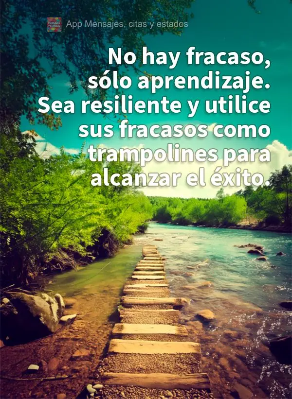 Não existe fracasso, apenas aprendizado. Seja resiliente e use as suas falhas como degraus para alcançar o sucesso.