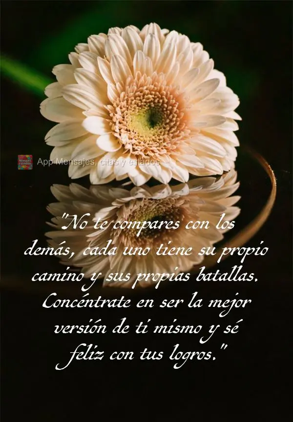 "Não se compare com os outros, cada um tem sua própria jornada e suas próprias batalhas. Foque em ser a melhor versão de si mesmo e seja feliz com su...