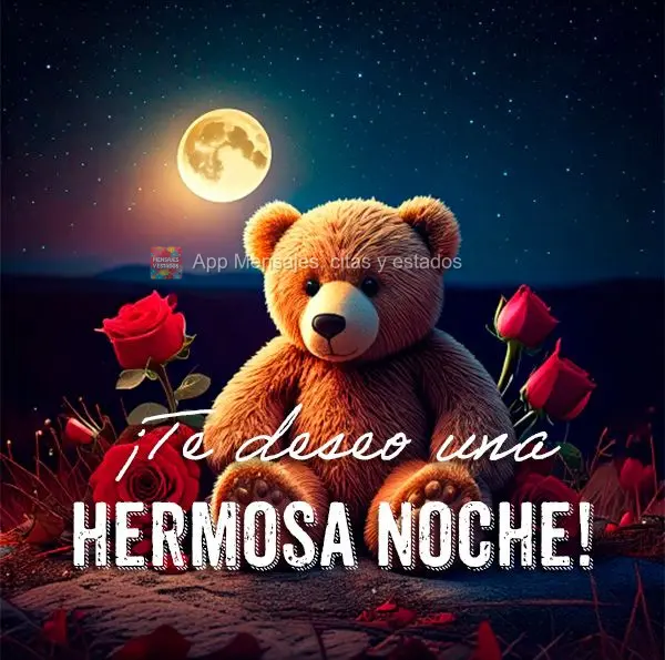 Desejo uma Linda noite!