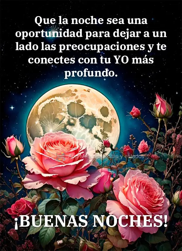 Que a noite seja uma oportunidade para deixar de lado as preocupações e se conectar com o nosso eu mais profundo. Boa noite!