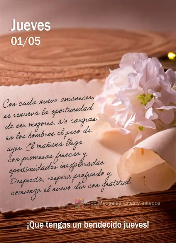 A cada novo amanhecer, renova-se a oportunidade de sermos melhores. Não carregue o peso de ontem nos ombros de hoje. A manhã chega com promessas fresca...