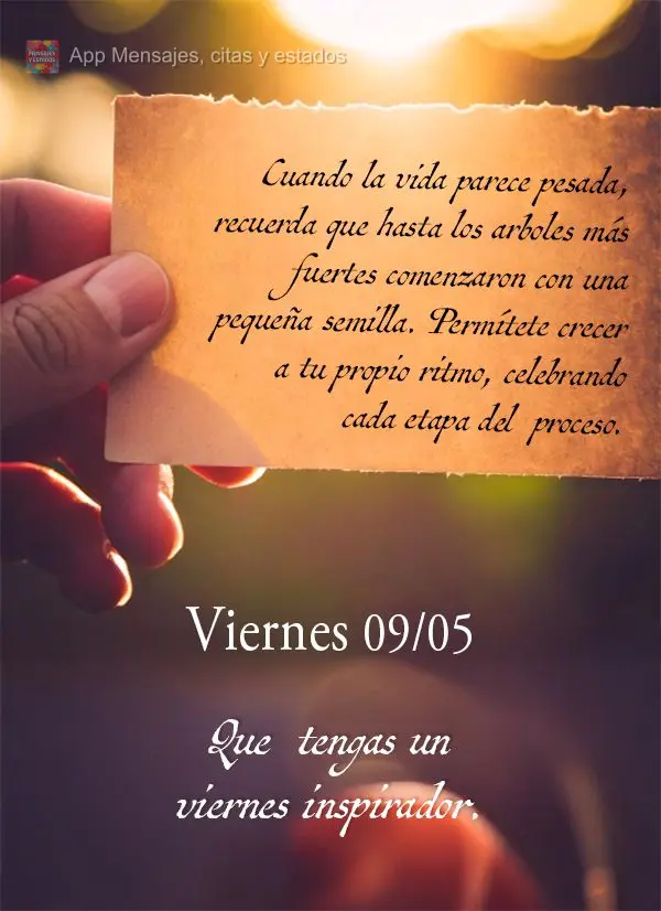 Cuando la vida parece pesada, recuerda que hasta los arboles más fuertes comenzaron con una pequeña semilla. Permítete crecer a tu propio ritmo, celeb...