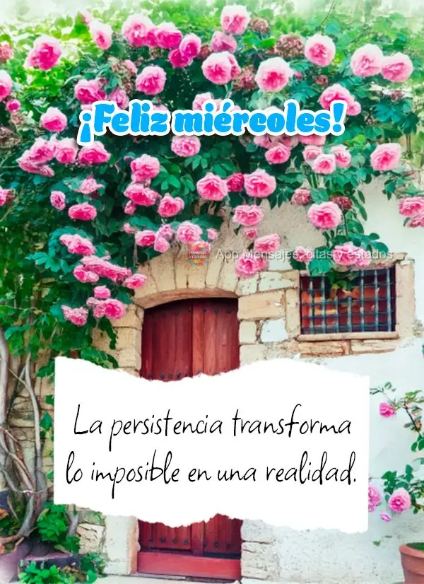 A persistência transforma o impossível em realidade. Feliz Quarta-feira!