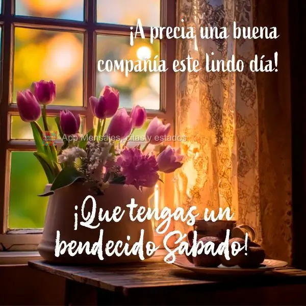 ¡A precia una buena compañía este lindo día! ¡Que tengas un bendecido Sábado!