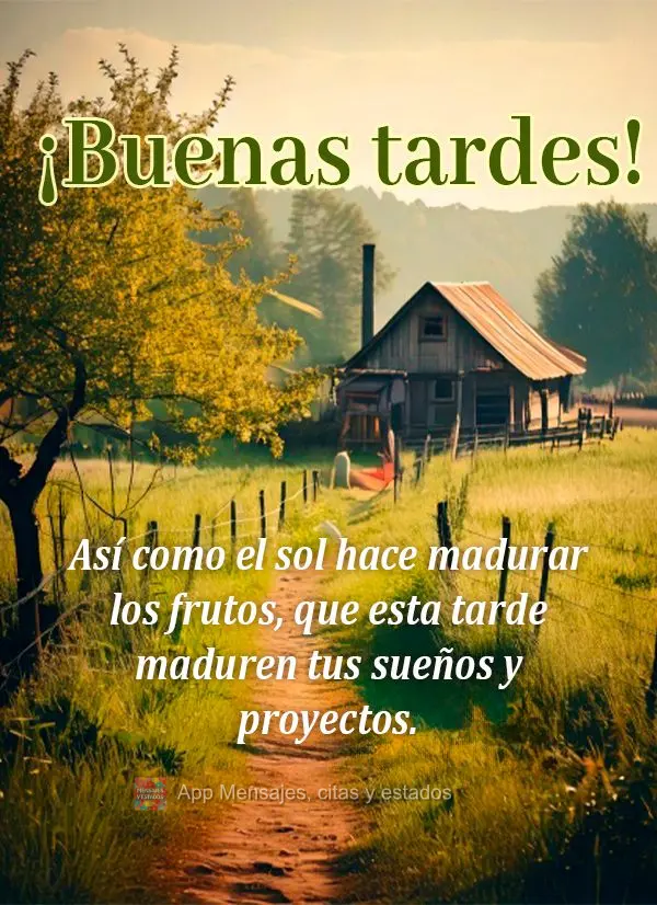 Assim como o sol que amadurece os frutos, que esta tarde amadureça seus sonhos e projetos.  Boa tarde!