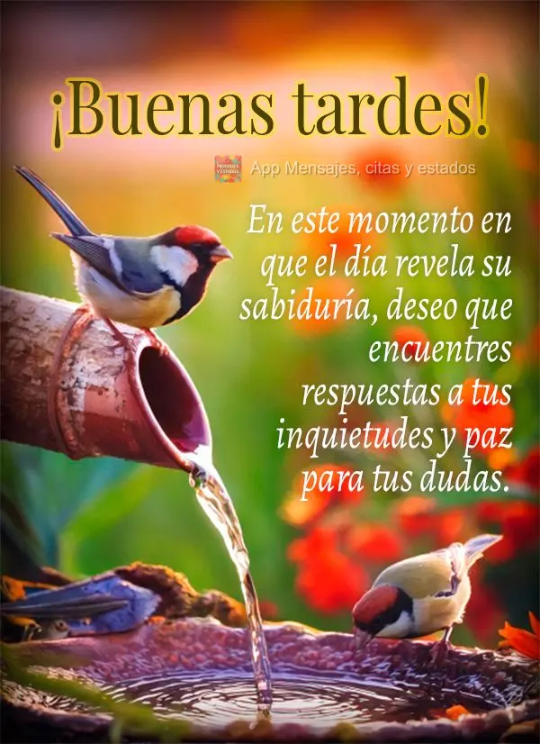 Nesta hora em que o dia revela sua sabedoria, desejo que você encontre respostas para suas inquietações e paz para suas dúvidas. Boa tarde!