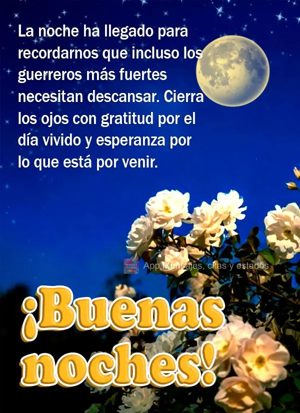 A noite chegou para nos lembrar que até os guerreiros mais fortes precisam descansar. Feche os olhos com gratidão pelo dia vivido e esperança pelo que...