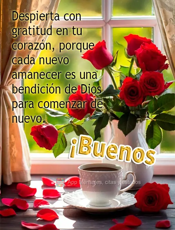 Desperte com gratidão no coração, pois cada novo amanhecer é uma bênção de Deus para recomeçar. Bom dia!