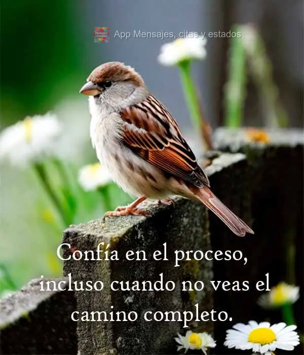 Confie no processo, mesmo quando não vir o caminho completo.