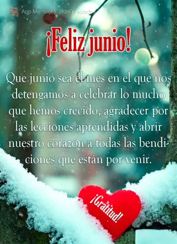 Que junho seja o mês em que paramos para celebrar o quanto já crescemos, agradecer pelas lições aprendidas e abrir o coração para todas as bênçã...