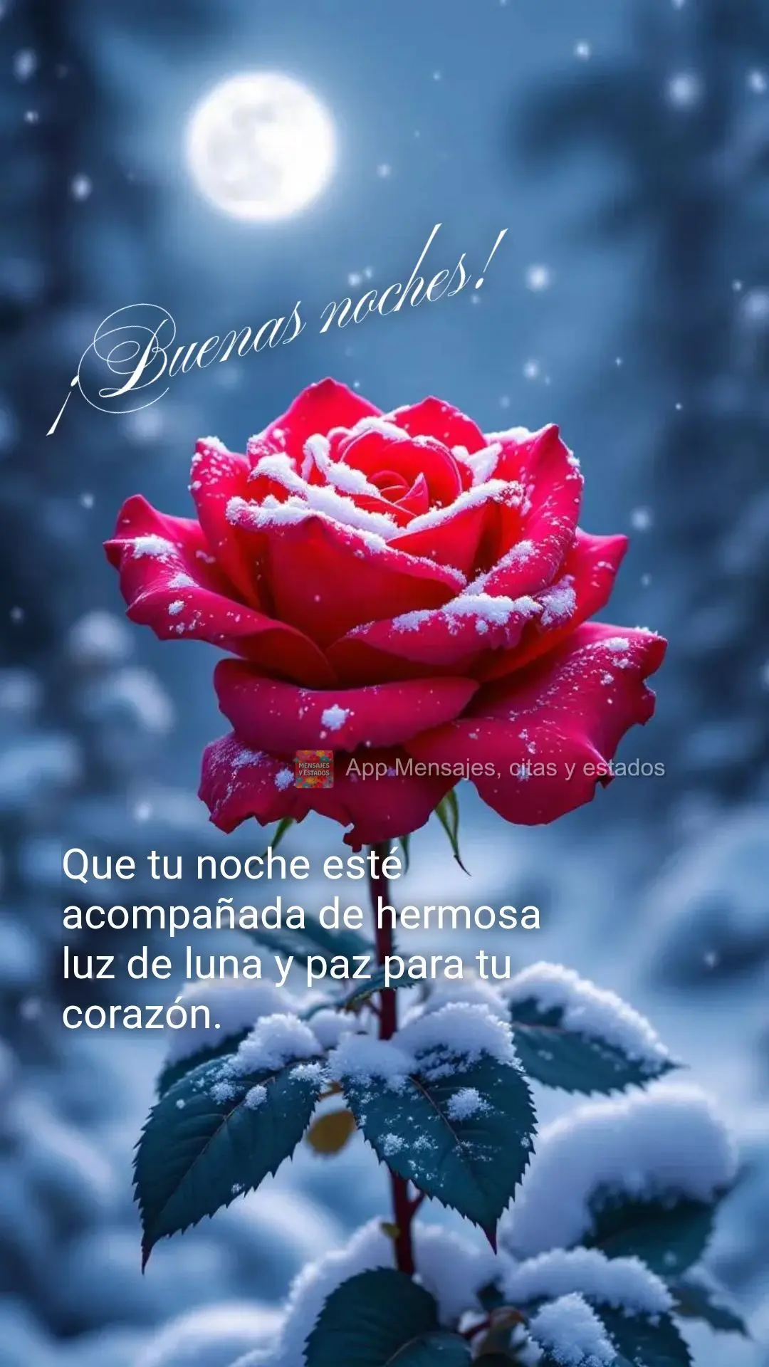 Que sua noite venha acompanhada de um lindo luar e paz para o seu coração. Boa noite!