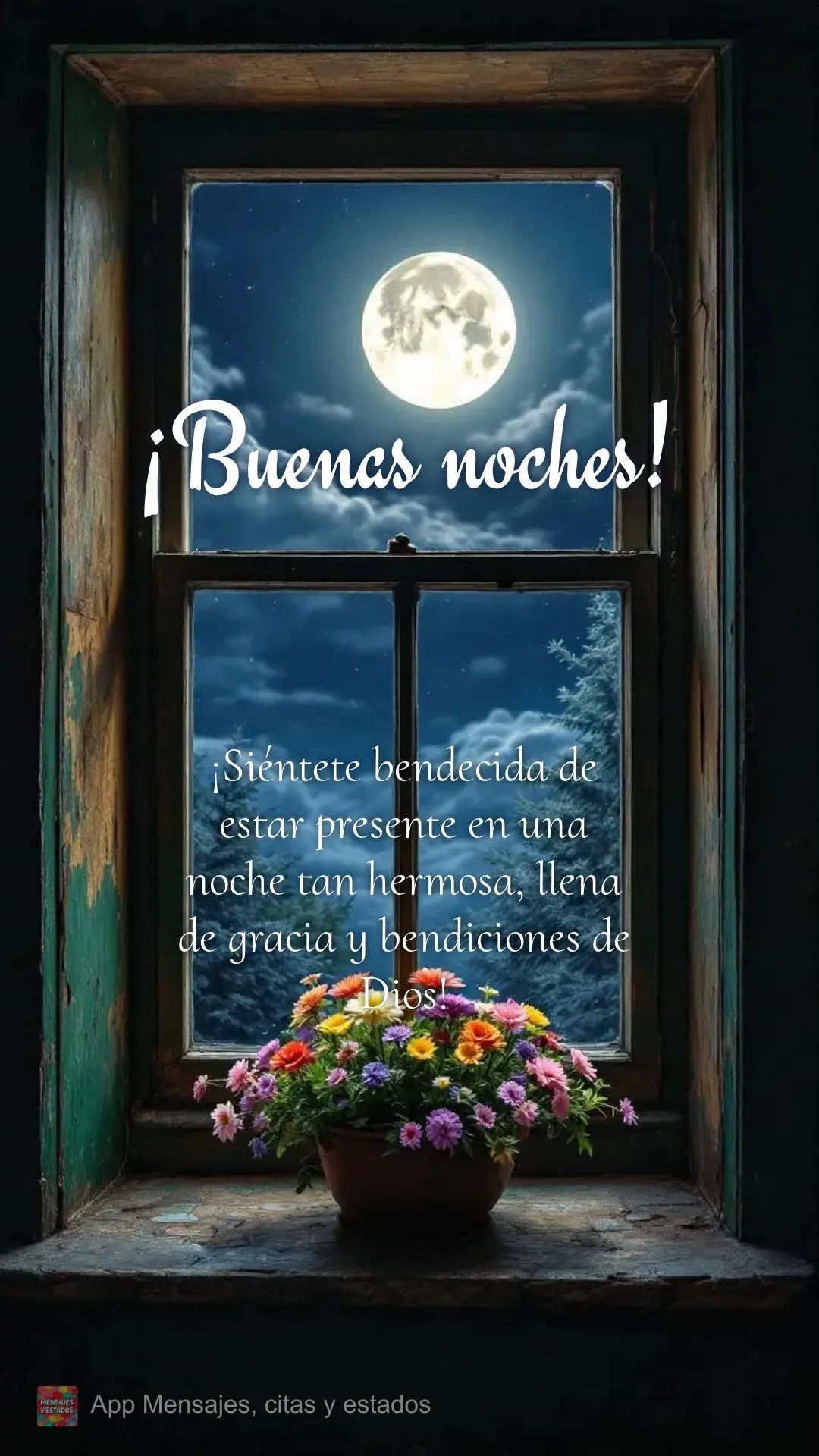 Se sinta abençoado por prestigiar uma noite tão bonita, cheia de graças e das bênçãos de Deus! Boa noite!