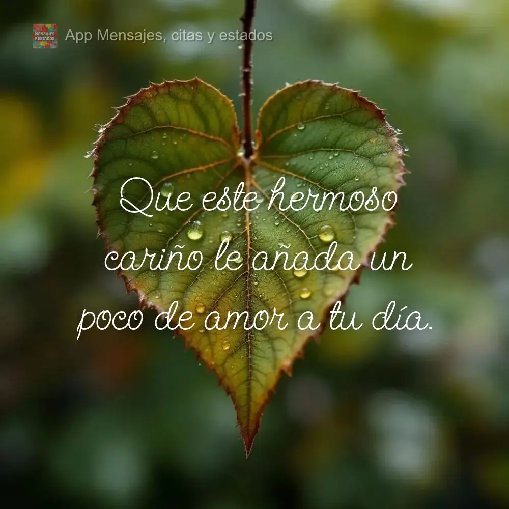 Que este hermoso cariño le añada un poco de amor a tu día.