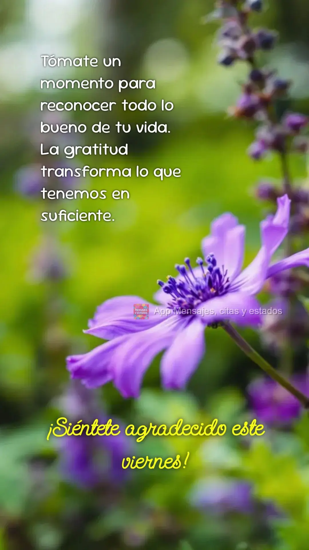 Pare um momento para reconhecer tudo de bom 
que existe em sua 
vida. A gratidão transforma o 
que temos em suficiente. Sinta-se grato nesta Sexta-fe...