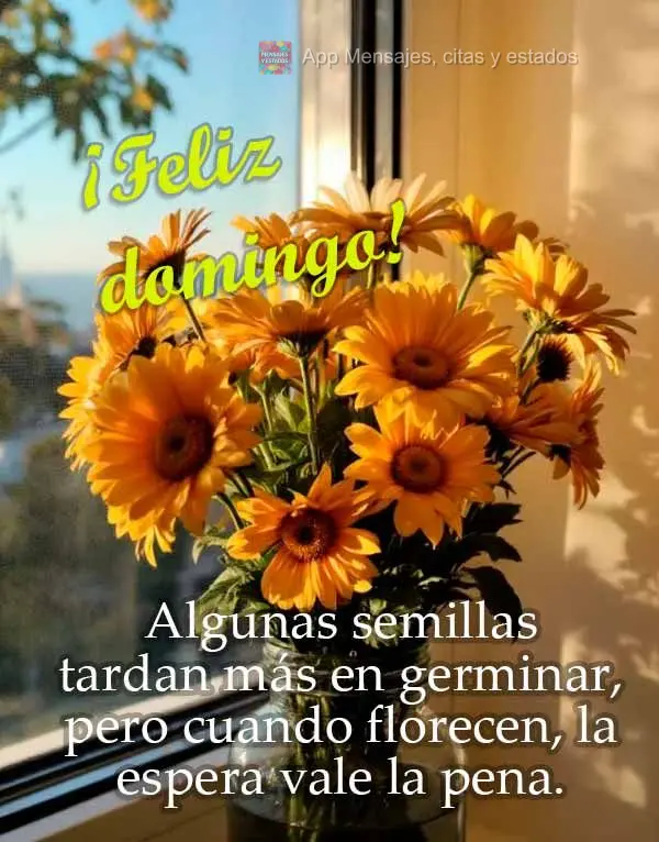 Algunas semillas tardan más en germinar, pero cuando florecen, la espera vale la pena. ¡Feliz domingo!