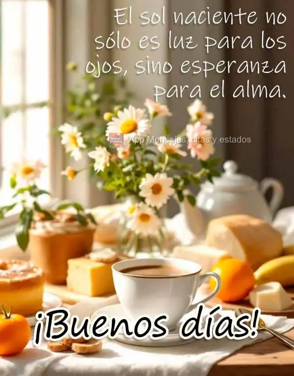 O sol que nasce não é apenas luz para os olhos, mas esperança para a alma. Bom dia!