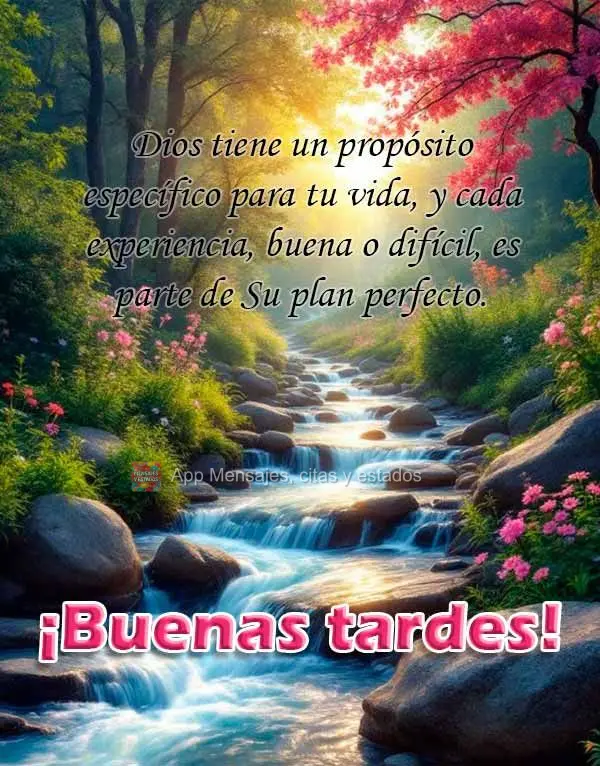 Deus tem um propósito específico para sua vida, e cada experiência - boa ou difícil - faz parte de Seu plano perfeito. Boa tarde!