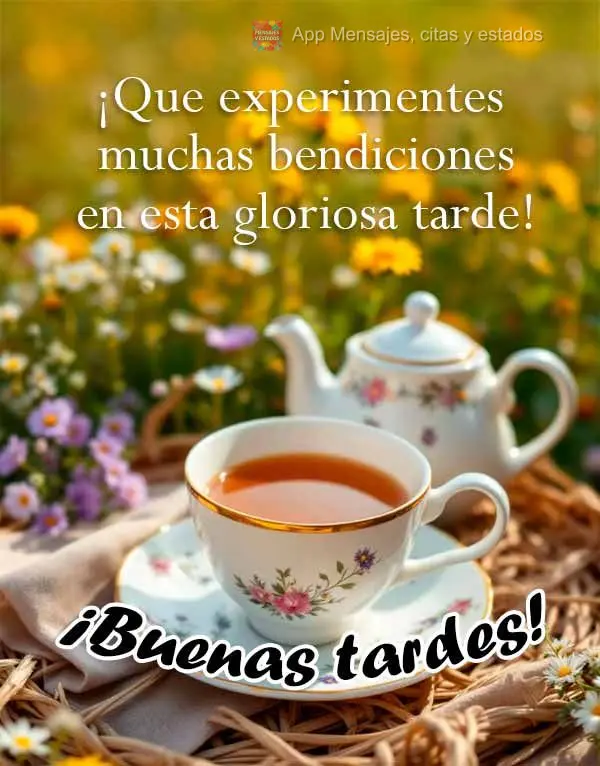 Que possa vivenciar muitas bênção nesta gloriosa tarde! Boa tarde!