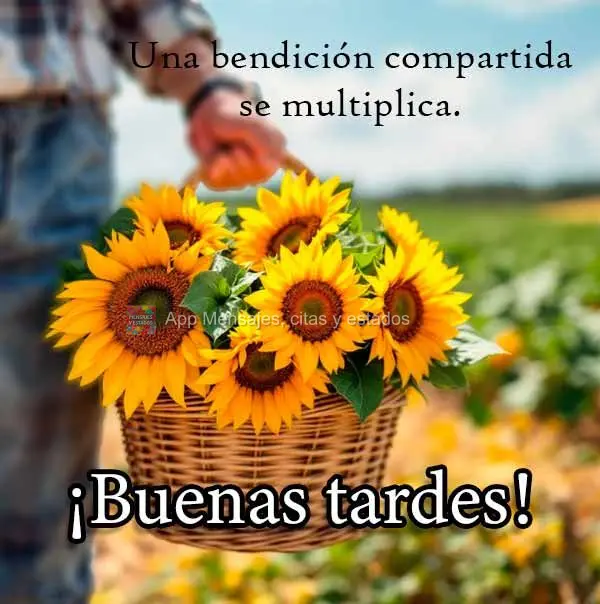 Uma bênção compartilhada se multiplica. Boa tarde!