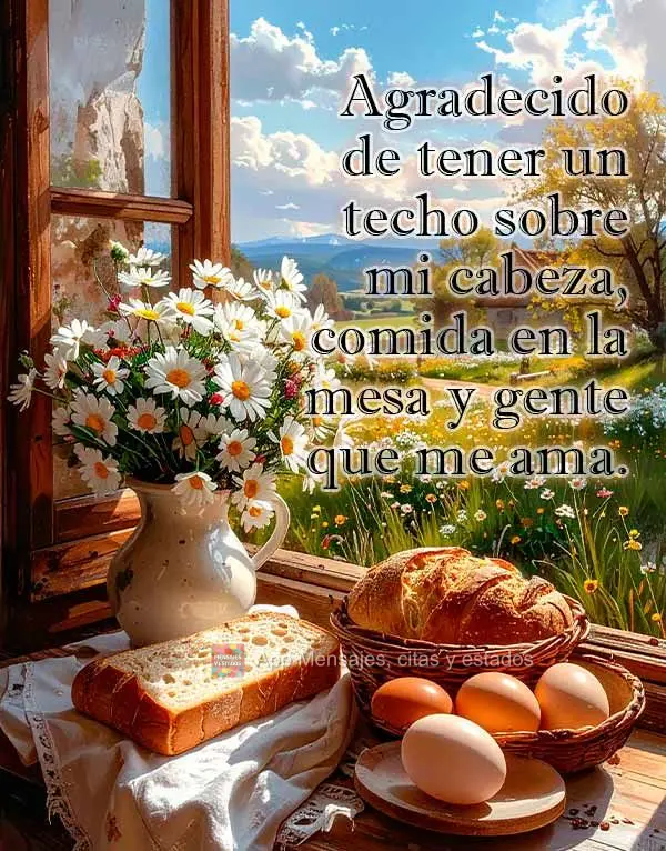 Grata por ter um teto sobre minha cabeça, comida na mesa e pessoas que me amam.