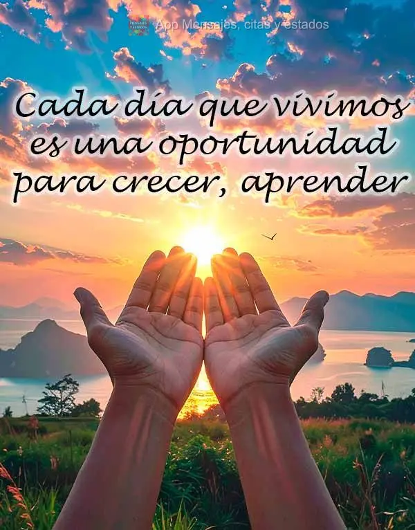 Cada dia vivo é uma oportunidade de crescer, aprender e fazer a diferença.