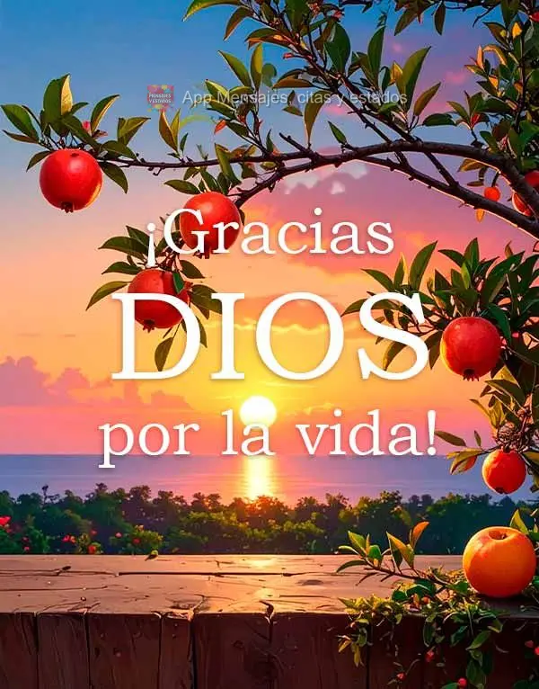 ¡Gracias DIOS por la vida!