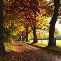 Quarta linda!
Que o dia seja leve e cheio de boas energias!