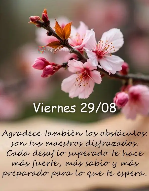 Agradeça também pelos obstáculos - eles são seus professores disfarçados. Cada dificuldade superada te deixa mais forte, mais sábio, mais preparado...