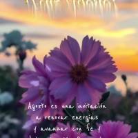 Agosto é um convite para renovar as energias e seguir em frente com fé e determinação. Que este mês seja de realizações e felicidade para todos. F...